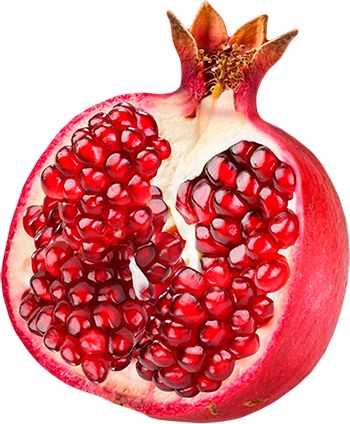 Pomegranate Art, Pomegranate Oil, Pomegranate Fruit, Fruit Peel, Fruit Photography, Fiber Rich Foods, Fiber Rich, Jewish Art, Botanical Illustration