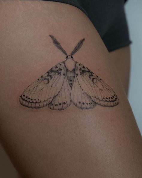 Moth fineline tattoo 🌙 1RL & 3RL | Instagram Miller Moth Tattoo, Isabella Tiger Moth Tattoo, Girly Moth Tattoo, Whimsical Moth Tattoo, Fineline Chest Tattoo, Moth Tattoo Minimalist, Fineline Moth Tattoo, Underboob Moth Tattoo, Sternum Moth Tattoo