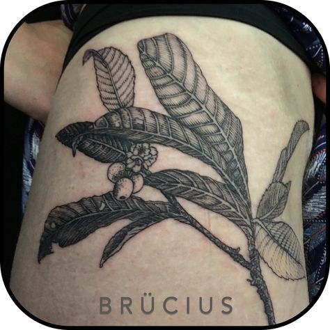 #BRUCIUS #TATTOO #SanFrancisco #bayareatattoo  #sciencetattoo #engravingtattoo #etchingtattoo #sculptoroflines #dotwork #blackworkartist #blackwork #ink #penandink #strings #loquat Loquat Tattoo, Science Tattoo, Etching Tattoo, Engraving Tattoo, Art Tattoos, Blackwork, Geometric Tattoo, Pen And Ink, Art Tattoo