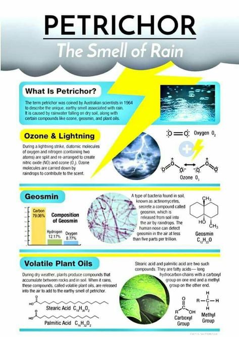 The Smell Of Rain, First Rain, Study Chemistry, Smell Of Rain, Teaching Chemistry, Cool Science Facts, Chemistry Lessons, Chemistry Notes, Biology Lessons