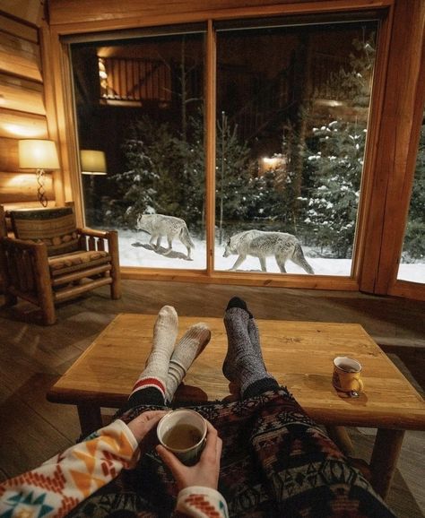 Wolf Packs, Cabin Trip, Cabin Aesthetic, Nature Camping, Jaw Line, Winter Cabin, Cabin In The Woods, Cabin Life, Cozy Cabin