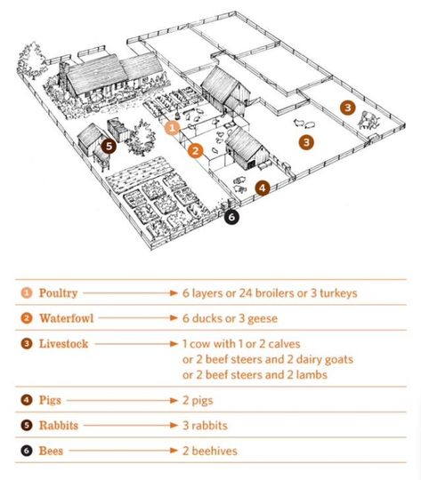 Layout of a half-acre homestead Homestead Layout Design, Pizza Farm Layout, 2acre Farm Layout, Homestead Building Layout, Three Acre Homestead Layout, 6 Acres Layout, Small Animal Farm Layout, 5acre Homestead Layout, Pasture Layout Ideas