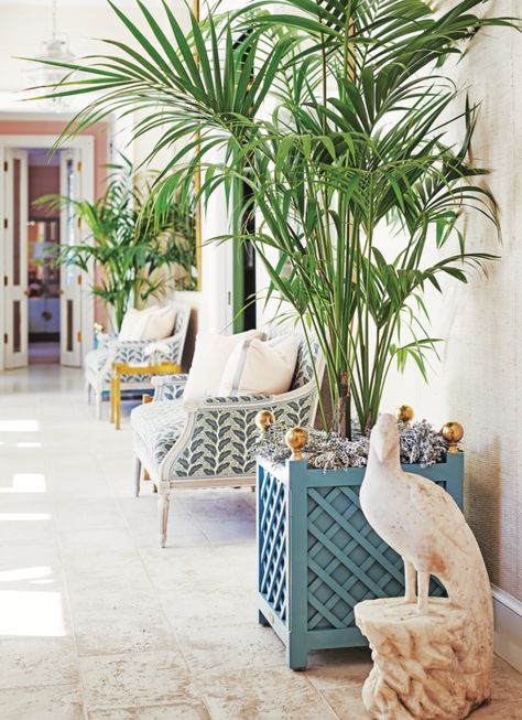 Inspired by a Parisian Apartment, Palm Beach and Tangiers: Inside Merry and Chad Vose’s Vibrant Haven in Dallas Palm Royale Decor, Palm Royale Aesthetic, West Palm Beach Interior Design, Palm Beach Aesthetic, Palm Beach Interior Design, Palm Royale, Palm Beach Decor, Palm Beach Style, Beach Interior