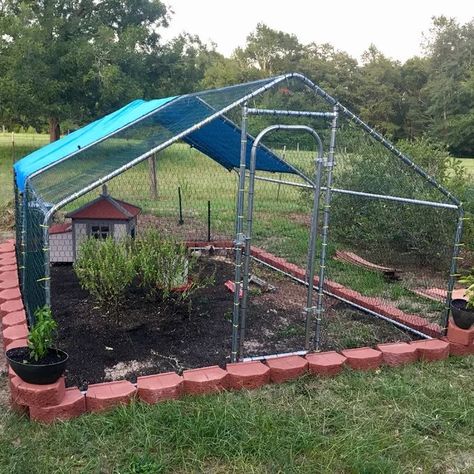 Holden Metal Walk-in Chicken Coop/Chicken Run with Waterproof Cover Chicken Coop Fox Proof, Building Chicken Coop, Chicken Coop Ideas, Goat Pen, Walk In Chicken Coop, Raising Quail, Duck Coop, Backyard Chicken Coop Plans, Chicken Pen