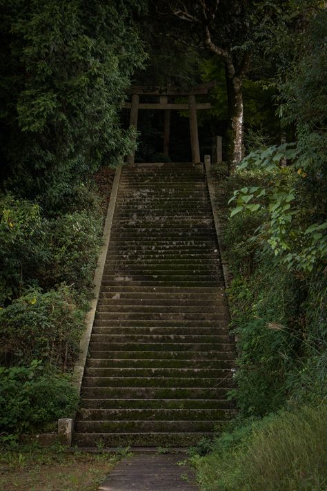 Japanese Cryptids, Abandoned Shrine Japan, Abandoned Japanese Temple, Japanese Shrine Aesthetic, Shinto Aesthetic, Old Japanese Temple, Haunted Japan, Japanese Shrine Art, Japan Scary