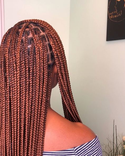 Color 350 And 30 Box Braids, Color 350 Knotless Braids, Braids With Color, 30 Hair Color, Color Braids, Braids Color, Colored Box Braids, Knot Braid, Colored Braids