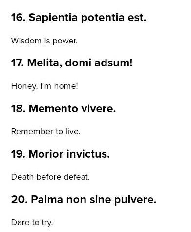 Latin Captions For Instagram, Powerful Latin Phrases, Intellectual Tattoos, Latin Phrases And Meanings, Pretty Italian Words, Latin Quote Tattoos, Learn Latin, Phrase Tattoos, Latin Quotes