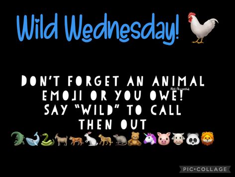 Kik Group Themes Wednesday, Kik Group Themes, Kik Games, Kik Game Cards, Wednesday Theme, Animal Emoji, Wild Wednesday, Like Someone, Game Cards