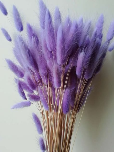 Colour Paper Flowers, Lavender Colour, Lavender Aesthetic, Lavender Garden, Pale Purple, Edible Landscaping, Country Crafts, Flower Arranging, All Things Purple