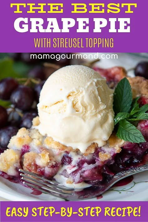 Learn how to make the best Concord Grape Pie with an easy-to-follow, family recipe. Grape pie with streusel topping has easy, step-by-step instructions full of tips and tricks for making homemade grape pie filling. #grapepie #concord #recipe #filling #red Concord Grape Cobbler, Concord Grape Pie Recipe, Concord Grape Pie Filling, Grape Pie With Crumb Topping, Concord Grape Recipes Desserts, Concord Grape Recipes Easy, Grape Desserts Easy, Grape Pie Recipe Easy, Fresh Grapes Recipes