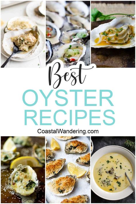 If you like eating oysters, then you'll love these delicious oyster recipes that are easy to make and absolutely mouth-watering. Charbroiled Oysters Recipe, Baked Oyster Recipes, Steamed Oysters, Canned Oysters, Bbq Oysters, Seafood Soups, Eating Oysters, Cooked Oysters, Smoked Oysters