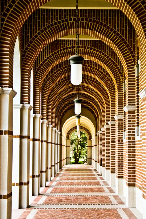 Rice University...i had my bridal portraits done under this walkway Rice University Engagement Photos, Rice University Photo Shoot, Day Trips From Houston, Campus Landscape Design, Engagement Photos Houston, Senior Board, University Of Redlands, Campus Landscape, Grad Session