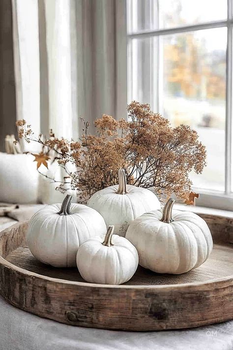 Fall Decor with Pumpkins: Versatile Ideas - Quiet Minimal White Pumpkins Decor, White Fall Aesthetic, Chic Fall Decor, Simple Fall Decor, White Pumpkin Decor, Fall Apartment Decor, Outdoor Fall Decor, Modern Fall Decor, No Carve Pumpkin Decorating