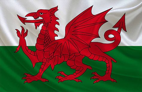 Celtic Signs, Great Britain Flag, Wales Flag, Welsh Flag, Flag Painting, England Flag, Flag Photo, Public Sculpture, National Symbols