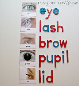 Eye Lesson, Doctor Craft, Senses Preschool, Free Printables For Kids, Body Preschool, Senses Activities, Preschool Classroom Decor, Sunday School Crafts For Kids, Baby Learning Activities