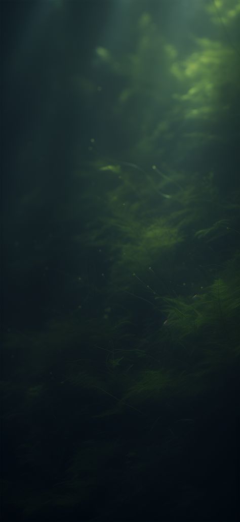 Dark Green Gradient Wallpaper, Phone Backgrounds Dark Green, Aesthetic Green Phone Wallpaper, Green Whimsigoth Wallpaper, Dark Calming Wallpaper, Forest Scene Wallpaper, Dark Backgrounds Iphone, Comfortable Aesthetic Wallpaper, Iphone Wallpaper Green Dark