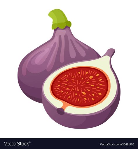 Fruit And Veg Drawings, Veggies Illustration, Fig Illustration, Fruit And Veg Illustration, Fruits And Vegetables Cartoon, Fig Images, Flat Fruit Illustration, Fig Drawing, Crocodile Cartoon