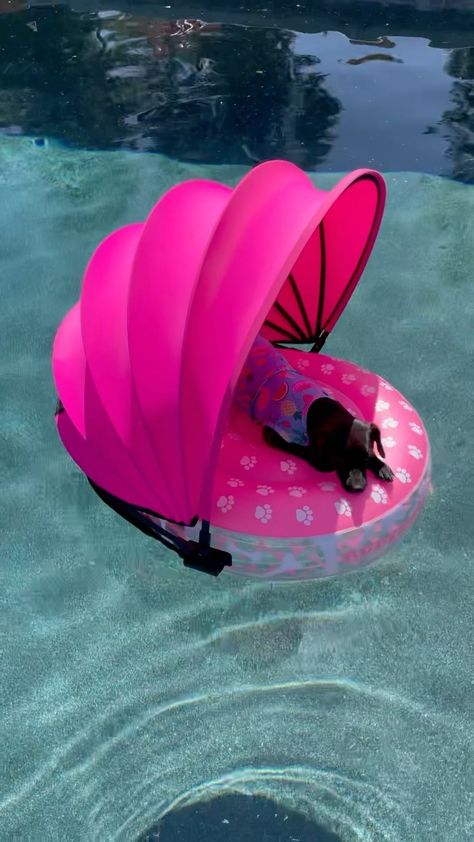 Dog Floaties, Dog Pool Floats, Cool Pool Floats, Preppy Dog, Dog Gadgets, Lake Fun, Dog Pool, Pink Puppy, Summer Dog