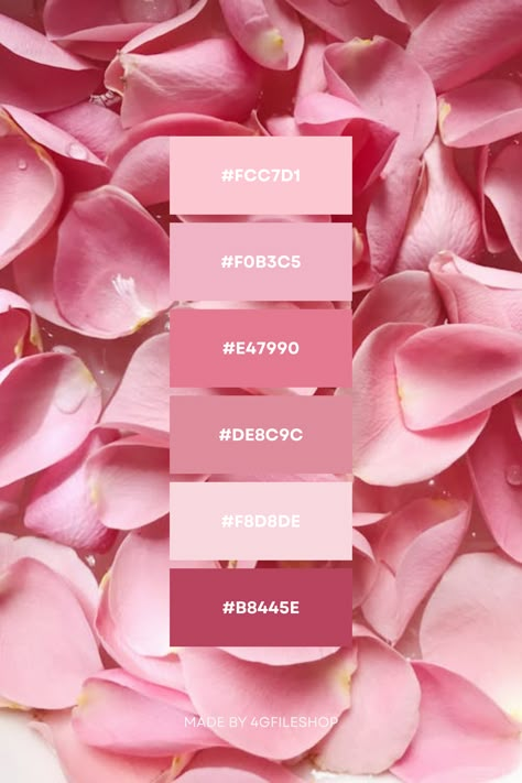 Rose Petals Color Palette Inspo Most Beautiful Color Palette, Friends Color Palette, Pink Winter Color Palette, Comfort Color Palette, Pink Colour Pallet, Paleta Rose, Rose Color Palette, Pink Elements, Rose Palette