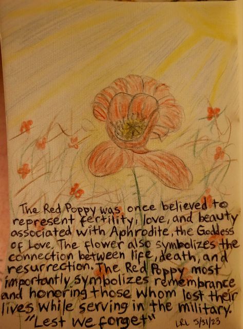 Spiritual meaning of the Red Poppy, by LRL 5/31/2023 Poppy Spiritual Meaning, Poppy Meaning, Poppy Flower Meaning, Poppy Pins, Flower Meanings, Lest We Forget, Goddess Of Love, Red Poppy, Spiritual Meaning