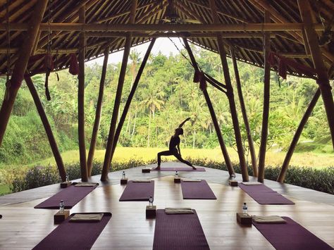 Yoga retreat in Bali Yoga Retreat Center, Yoga Platform, Yoga Place, Bali Retreat, Best Yoga Retreats, Yoga Shala, Bali Yoga, Meditation Studio, Bali Vacation