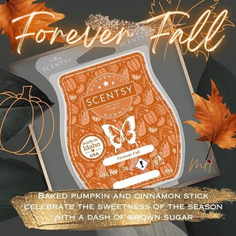 Scentsy Consultant Ideas, Scentsy Scent, Smell Goods, Morning Blessings, Scentsy Consultant, Baked Pumpkin, Winter 2023, Smell Good, Cinnamon Sticks