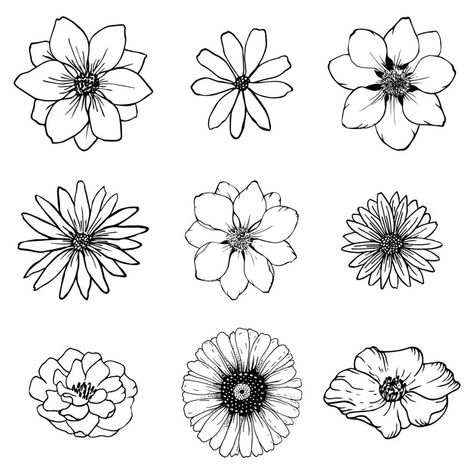 Flower Line Art Drawings, Sketch Flowers Simple, Natural Design Drawing, Ink Flower Drawing, Fleur Illustration, Doodling Flowers, Sketches Flowers, Flowers Line Drawing, Line Drawing Flowers