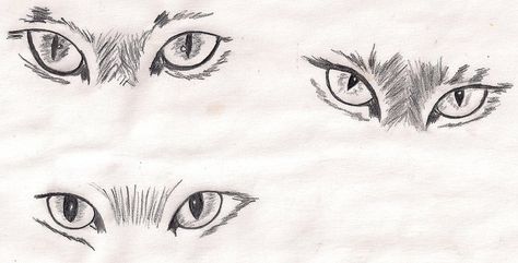 Drawing of cat eyes | Flickr - Photo Sharing! Cat Eyes Sketches, Cats Eyes Tattoo, Cats Eye Tattoo, Cat Eye Drawing Sketches, Cats Eyes Drawing, How To Draw Cat Eyes, Cat Eyes Illustration, Cat Eye Sketch, Cat Eye Illustration