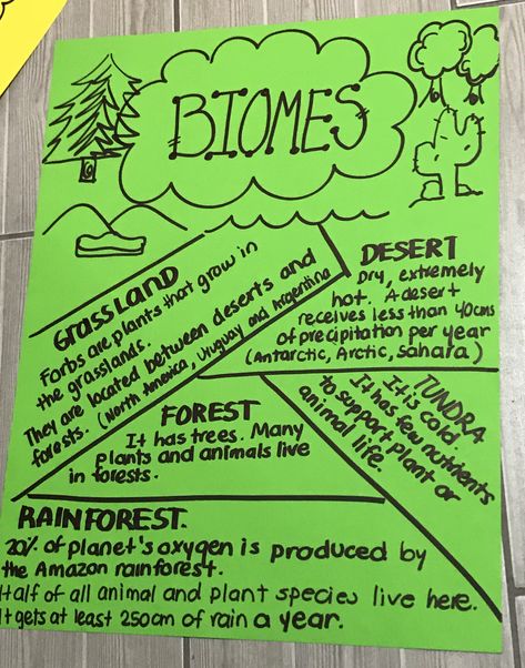 Biomes Girly Bracelets, English Story, Biome, Forest Animals, Geography, Classroom Ideas, Science, 10 Things, Quick Saves