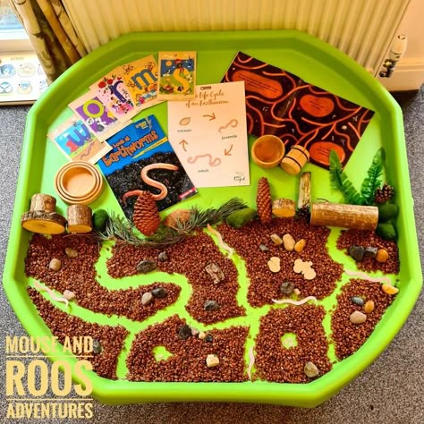 Worm Tuff Tray Ideas, Superworm Eyfs, Superworm Activities Eyfs, Minibeasts Eyfs Activities, Worm Activities, Minibeasts Eyfs, Worms Preschool, Year 1 Science, Insect Activity