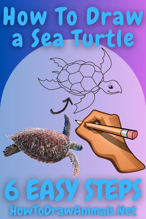 Sketch the Gentle Giants of the Sea: Follow Our Guide to Draw a Peaceful Sea Turtle! Draw A Sea Turtle, Draw A Turtle, Sea Turtle Drawing, Marine Life Art, Ocean Drawing, Turtle Drawing, Painted Rock Animals, Marine Creatures, How To Draw Animals