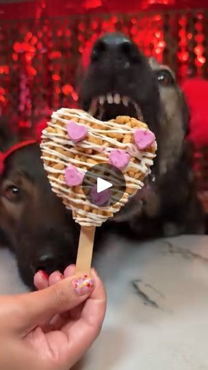 54K views · 4K reactions | Rice Krispies Treats For Dogs Recipe | Rice Krispies Treats For Dogs Recipe 😋 #dog #dogtreats #dogrecipes #germanshepherd #ricekrispies #valentinesdesserts #valentines | By Jade the Sable GSD | Facebook Dog Rice Krispie Treats, Recipe Rice, Rice Krispies Treats, Treats For Dogs, Krispies Treats, Dog Cakes, Rice Crispy Treats, Rice Krispie Treats, Crispy Treats