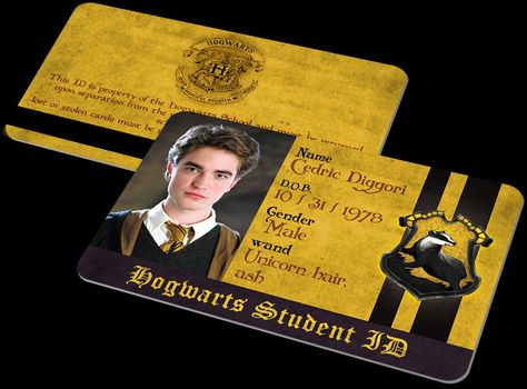 Harry Potter Student Id, Hogwarts Student Id, Artbreeder Faces, Hogwarts Student, Student Id, Conan Gray Aesthetic, Id Card Template, Atm Card, Harry Potter Tumblr