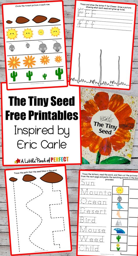 Flower Potato Stamping Craft and The Tiny Seed Free Printables: Make an easy… Tiny Seed Activities, Potato Stamping, Flower Crafts Preschool, Eric Carle Activities, Plants Kindergarten, Free Printables For Kids, Preschool Garden, Planting For Kids, Plants Unit