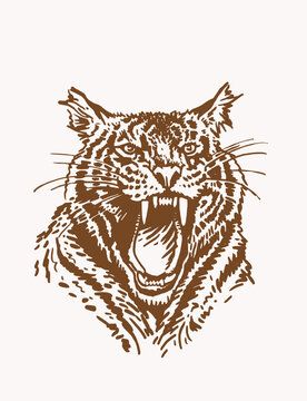 Graphical vintage drawing of tiger , sepia background,vector illustration #AD , #SPONSORED, #drawing, #tiger, #Graphical, #vintage, #vector Leaping Tiger Illustration, Tiger Vector Illustration, Drawing Of Tiger, Sepia Background, Tiger Vector, Tiger Drawing, Tiger Illustration, Vintage Drawing, Graphic Tshirt Design