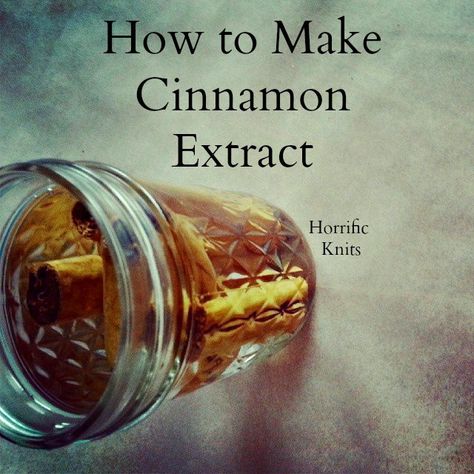 Freezing Butter, Cheap Homemade Gifts, Diy Extracts, Make Vanilla Extract, Cinnamon Extract, Diy Cinnamon, Get In The Car, Preserving Herbs, Homemade Syrup