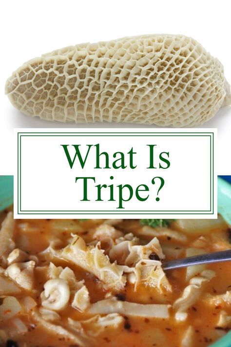 Tripe might be one of those dishes that, in theory, doesn’t sound very good. Maybe you haven’t even had the opportunity to taste this dish, as it’s not popularized in the US.

We think it’s a shame because tripe dishes can take you on some pretty unexpected culinary journeys. After all, tripe comes from a long tradition of using all of the parts of an animal, even those that don’t seem to be all that usable at first sight. Tripe Stew, Tripe Soup, Tripe Recipes, Beef Tripe, Unique Recipes, Healthy Options, Cooking Meat, Food Guide, International Recipes