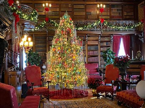 The magic of Christmas comes to life at Biltmore | Arts Entertainment | themountaineer.com A Biltmore Christmas, Biltmore House Christmas, Christmas Mansion, Biltmore Estate Christmas, Biltmore Christmas, Christmas Hotel, Dolly Christmas, Holly Dolly, Biltmore House