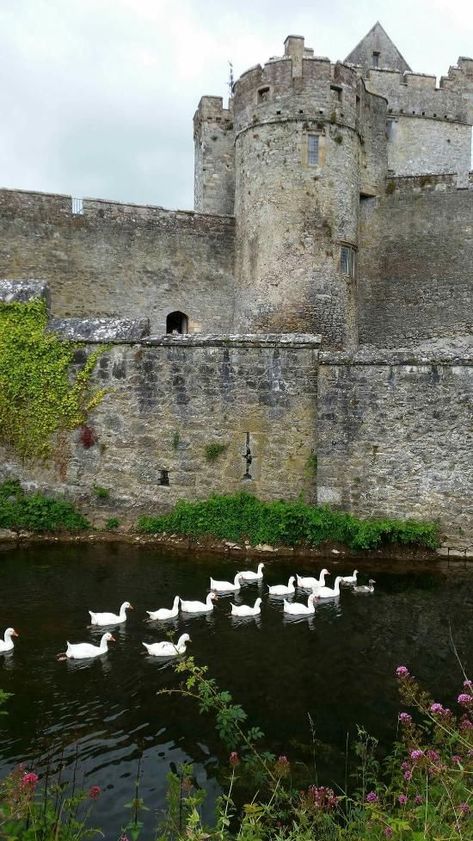 Witch Castle, Houses Beautiful, Tipperary Ireland, Castle Tattoo, Irish Castles, Castles In Ireland, Ireland Landscape, Historical Buildings, Visit Ireland