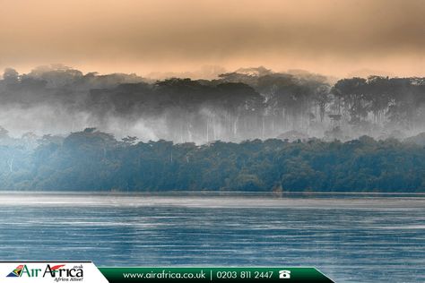 Sangha River, Africa:  |    The #Sangha #River, a tributary of the #Congo River, is located in #Central #Africa.  |    Source: https://en.wikipedia.org/wiki/Sangha_River  |    #sanghariver #photo #tourism #flights #travel #travelphotography #travelafrica #travelblog #traveldiaries #bookonline #airafrica #africantravel #flightstoafrica #cheapflights #cheapflightstoafrica #travelagentsinuk  |    #African #TravelExperts: http://www.airafrica.co.uk/ Congo River, Morning Fog, Africa Do Sul, Democratic Republic Of The Congo, Luxor Egypt, Dr Congo, Africa Travel, Fishing Trip, Seychelles