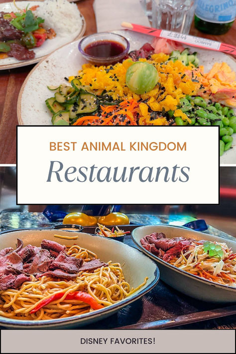 Discover the best Animal Kingdom restaurants to satisfy your cravings on your next Disney adventure! From the mouth-watering BBQ at Flame Tree Barbecue to the exotic flavors at Satu'li Canteen, these Animal Kingdom eats are a must-try.   #AnimalKingdomEats #BestAnimalKingdomRestaurants #DisneyDining #DisneyWorldFood #DisneyFoodie #PandoraDining #DisneySnacks #CharacterDining Animal Kingdom Aesthetic, Animal Kingdom Restaurants, Animal Kingdom Food, Pineapple Soft Serve, Tastiest Food, Fun Drinks Alcohol, Wok Cooking, Character Dining, Flame Tree