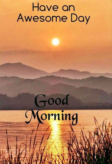 Lovely Good Morning Images, Good Morning Greeting Cards, Good Morning Sweetheart Quotes, Good Morning Sunshine Quotes, Good Morning Nature, Good Morning Flowers Quotes, Good Morning Images Hd, Slaap Lekker, Good Morning Beautiful Pictures