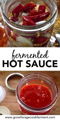 Fermented Hot Sauce Recipe, Fermented Hot Sauce, Hot Sauce Recipe, Homemade Hot Sauce, Fermented Veggies, Hot Sauce Recipes, Dried Peppers, Fermentation Recipes, Fermented Vegetables