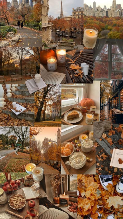 Atum Aesthetic, Fall Sleepover, Autumn Mood Board, Halloween Wallpaper Cute, Fun Fall Activities, Fall Mood Board, New England Fall, Fall Bucket List, Fall Mood