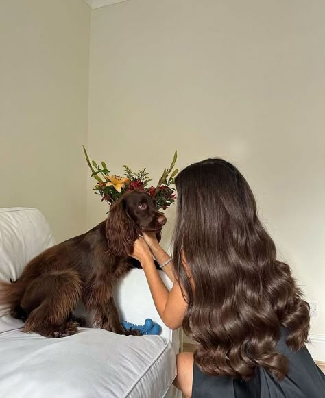 @anisasojka on instagram Brown Hair Inspo, Haircuts For Medium Hair, Trendy Haircuts, Pastel Hair, Hair Inspo Color, Dream Hair, Brunette Hair, Aesthetic Hair, Hair Highlights