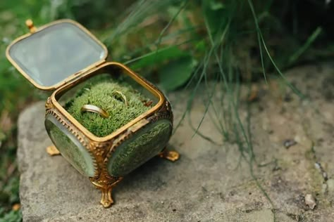 Fantasy Ring Boxes, Ring Box For Wedding Ceremony, Glass Ring Box Wedding, Woodland Wedding Rings, Ring Holders Wedding, Unique Ring Box Ideas, Cute Ring Boxes, Unique Ring Boxes, Engagement Ring Boxes Unique