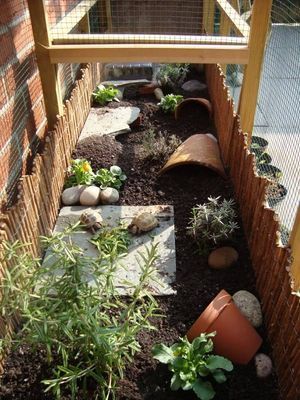 aménagement de l'enclos extérieur pour tortue Tortoise Home, Outdoor Tortoise Enclosure, Turtle Enclosure, Tortoise Diet, Turtle Homes, Tortoise House, Tortoise Table, Tortoise Enclosure, Russian Tortoise