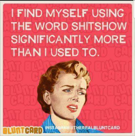 Welcome to the shitshow!!! Workplace Humor, And So It Begins, Retro Humor, Sarcastic Quotes Funny, Work Memes, Funny Sarcastic, Twisted Humor, Nurse Humor, E Card