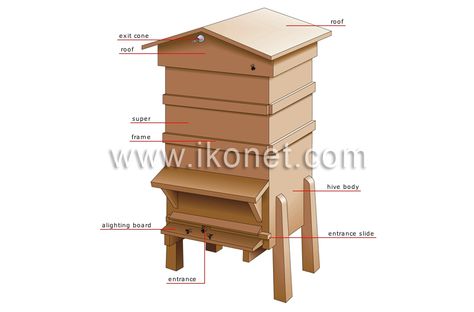 English beehive roof ... insects and arachnids > honeybee > hive image - Visual Dictionary Visual Dictionary, Honey Bee Hives, Arachnids, Blue Ridge Mountains, 1 Image, Bee Keeping, Blue Ridge, Bee Hive, Animal Kingdom