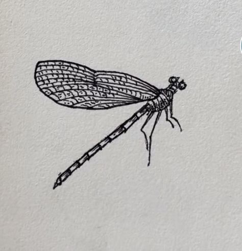 Damselfly Damselflies Tattoo, Damsel Fly Tattoo, Damselfly Tattoo, Damsel Fly, Flying Tattoo, Tat Ideas, Tatting, Tattoo Ideas, Tattoos